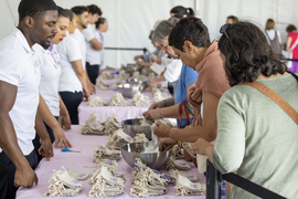 La Fête de la Lavande 2024