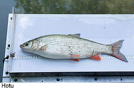 Campagne de pêche 2013